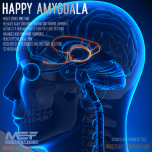 Amygdala (Morphic Field)