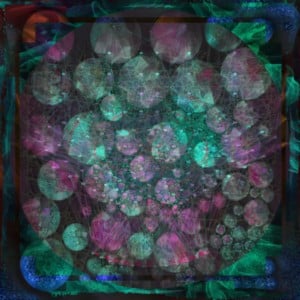 Indra’s Jewelled Net