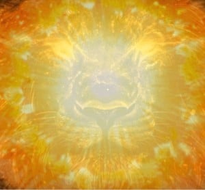 Lions Gate Portal 1000X