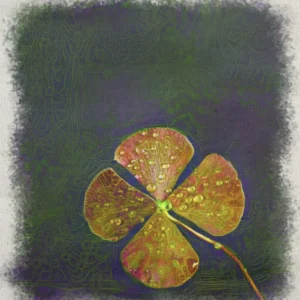 Lucky Horse Shoe and Clovers