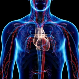 Superhuman Cardiovascular System (Morphic Field)