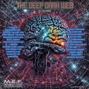 The Deep Dark Web (Morphic Field)