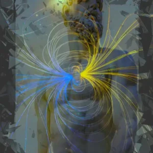 The Magnetic Male