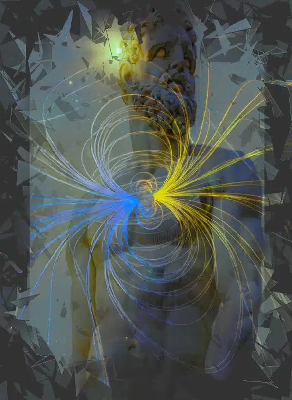The Magnetic Male