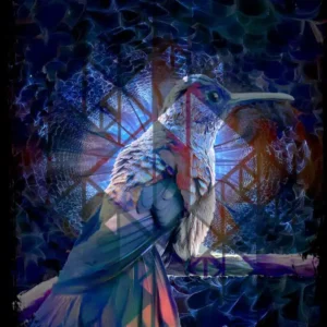 The Merry Maker