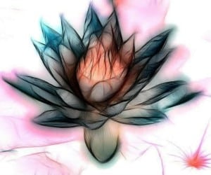 The Plasma Flower