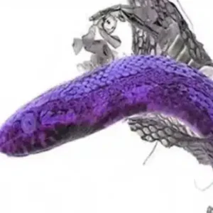 Your New Improved Skin