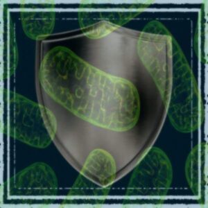 Mitochondria Protector Blend