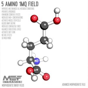 5 Amino 1MQ -  Morphic Field