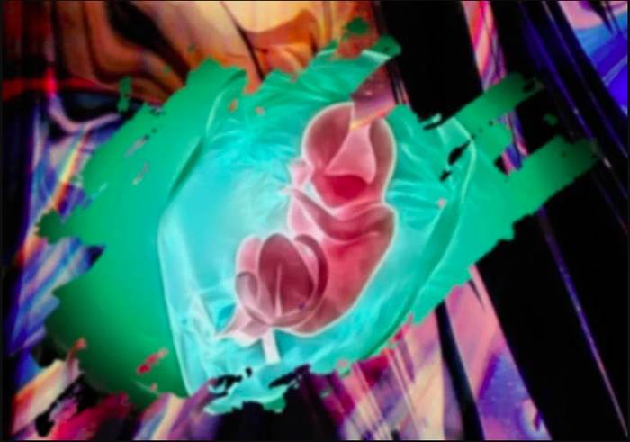 The Amniotic Membrane Healing Pod