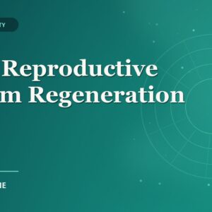 Male Reproductive System Regeneration