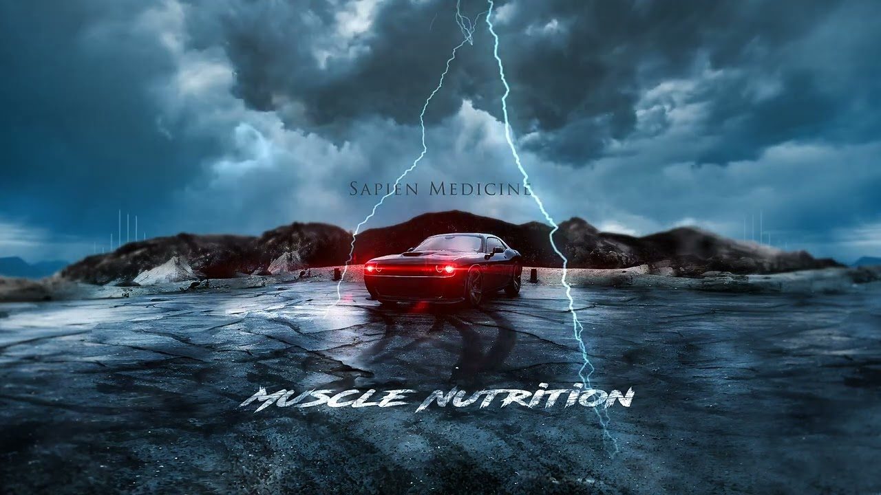 Muscle Nutrition