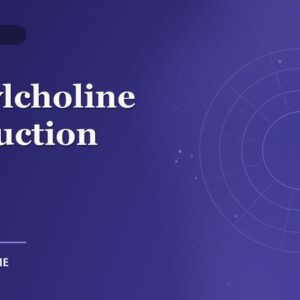 Acetylcholine Production