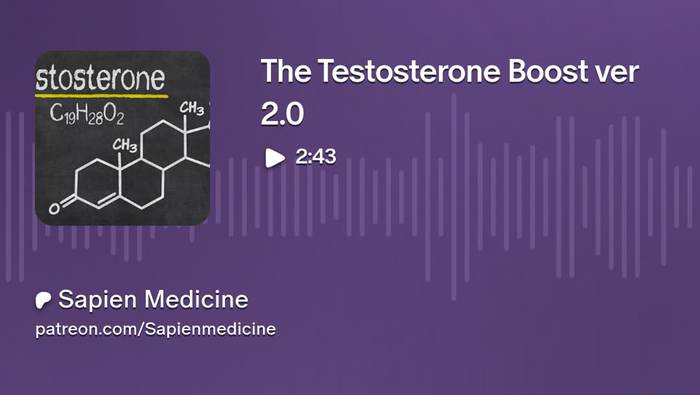 Testosterone Boost ver2.5 by Sapien Medicine