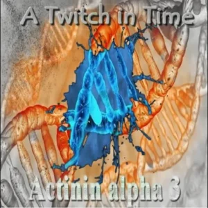A Twitch in Time (Muscles, speed, recovery)