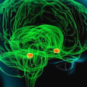Amygdala Powerful Plus +11x(Extra Strong)