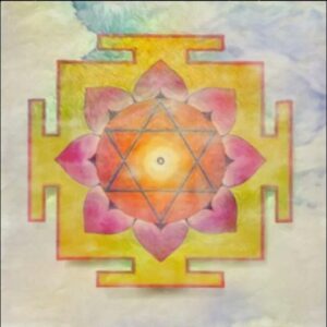 Ashta Lakshmi Maha Yagna