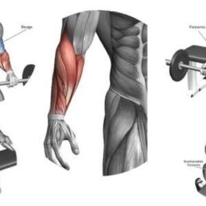 Automated Forearm Workout Powerful Plus +11x(Extra Strong)