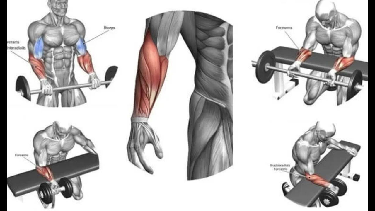 Automated Forearm Workout Powerful Plus +11x(Extra Strong)