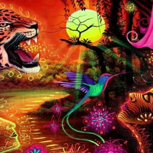 Ayahuasca Powerful Plus+11x(Extra Strong)