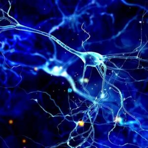 Brain Improvement Process Powerful Plus +11x(Extra Strong)