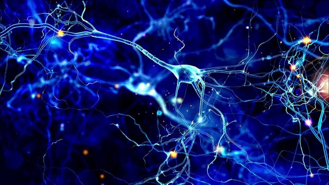 Brain Improvement Process Powerful Plus +11x(Extra Strong)