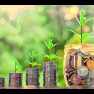 Capital Governance