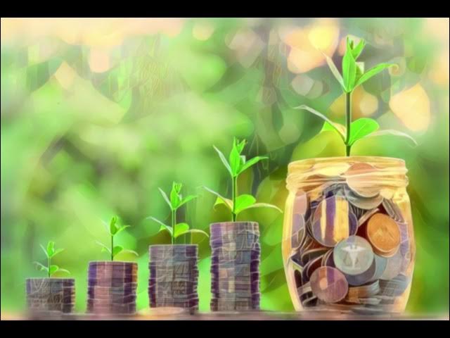 Capital Governance