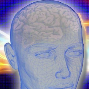 Photographic Memory (Advanced)