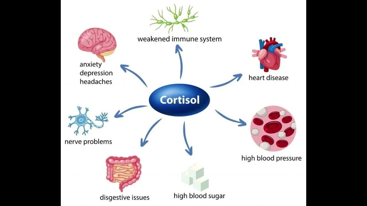 Cortisol Powerful Plus +11x(Extra Strong)