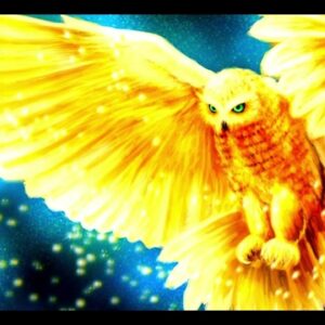Divine Owl Powerful Plus +11x(Extra Strong)