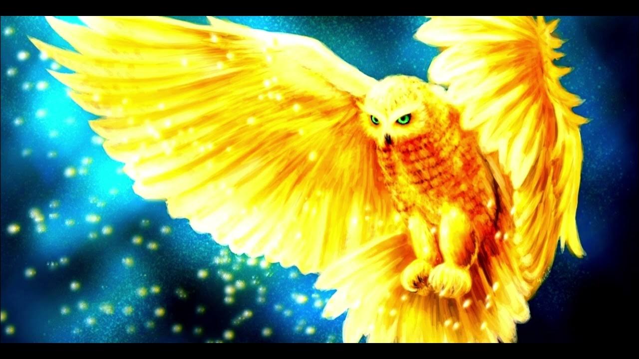 Divine Owl Powerful Plus +11x(Extra Strong)