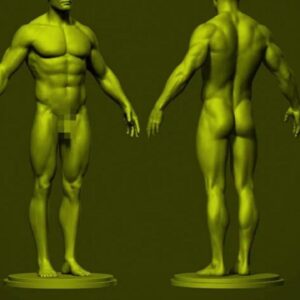 Enhancement of Masculinity Powerful Plus +11x(Extra Strong)