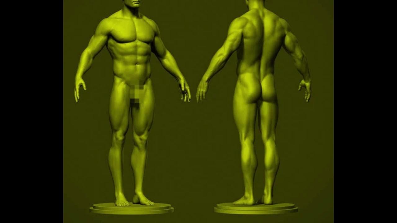 Enhancement of Masculinity Powerful Plus +11x(Extra Strong)