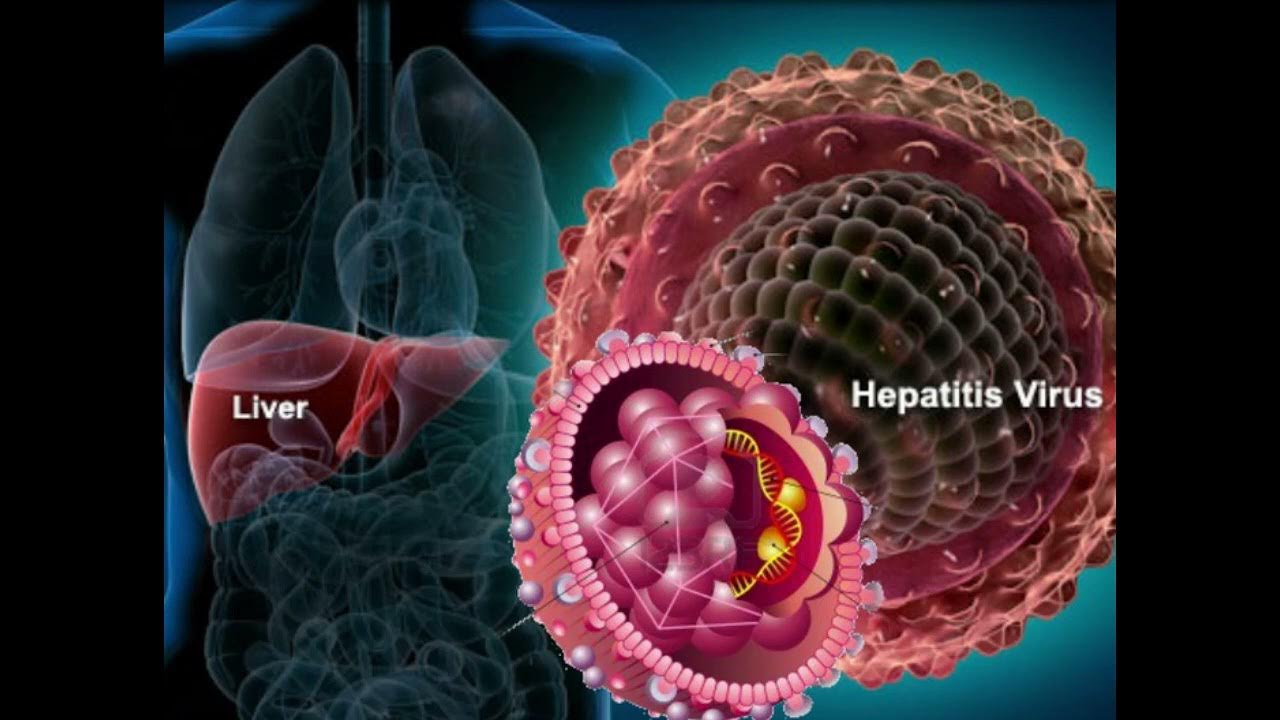 Hepatitis B virus destroyer Powerful Plus +11x(Extra Strong)