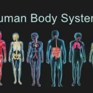 Human Body System Healing and Regeneration Powerful Plus +11x(Extra Strong)