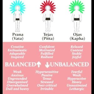 Ojas tejas and Prana Potent levels Powerful Plus +11xExtra Strong