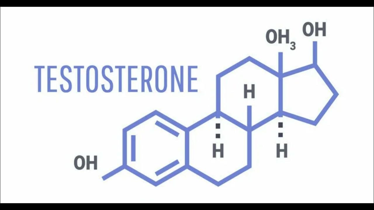 Testosterone 11x(Extra Stronger)