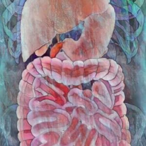 The Iron Gullet (Gastrointestinal Inflammation Help) real