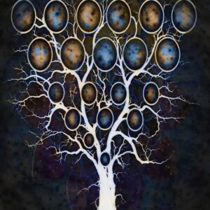 The Omniverse