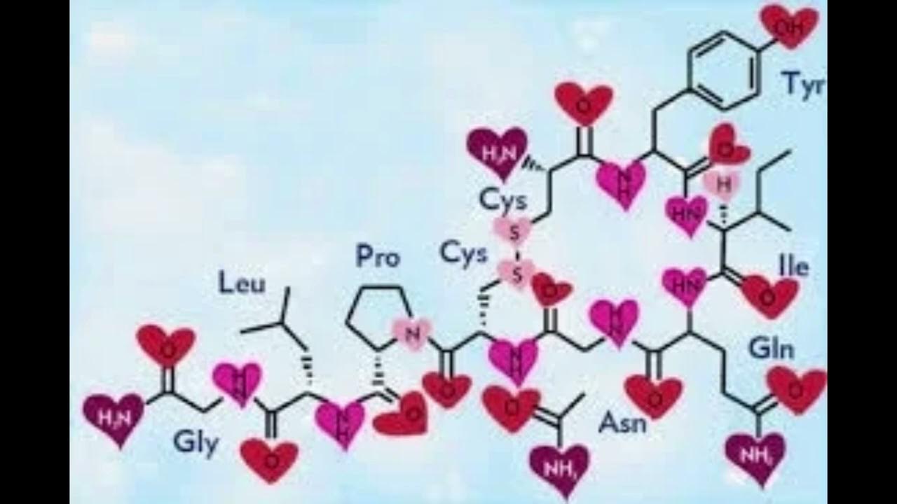 Power Oxytocin PLUS+ 11x(Extra Stronger) - Sigh Energy