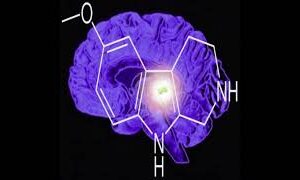 The Test of Tetrachromacy