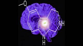 The Test of Tetrachromacy