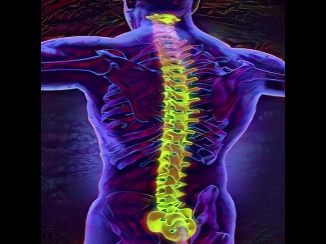 Project Kundalini Vibration Activation