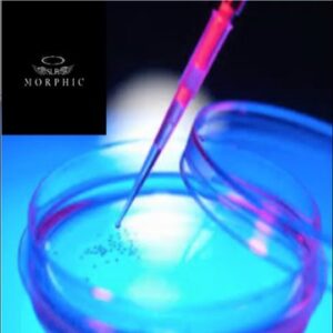 Advanced Fat to Stem Cell Protocol With Cellular Regeneration