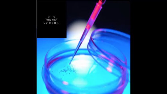 Advanced Fat to Stem Cell Protocol With Cellular Regeneration
