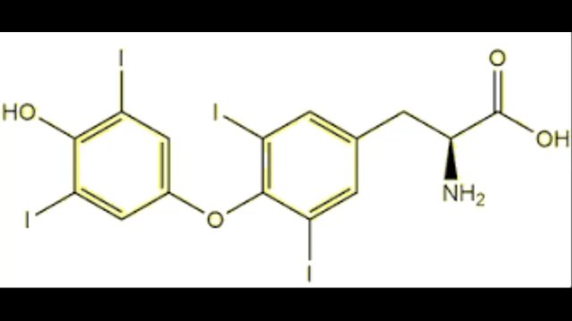 Thyroid Hormone Booster T4 Release For Metabolic Enhancement