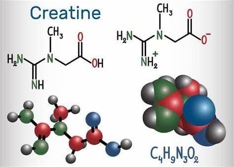 Creatina Powerful Plus +11x (Extra Strong)