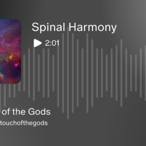 Spinal Harmony