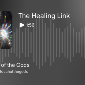 The Healing Link